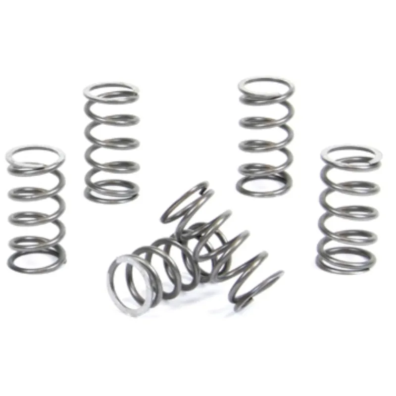 [ ProX ] Jeu de Ressorts d‘Embrayage Kawasaki KX 65 00-, Suzuki RM 65 03-05 Akció