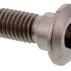 Vis de disque de frein arrière Pro Bolt M8X1.25mm 20mm Titane Utolsó esély