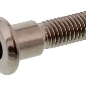Vis de disque de frein avant / arrière Pro Bolt M8X1.25mm 30mm Titane Triumph Árcsökkenés