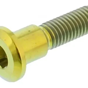 Különleges ajánlat Vis de disque de frein avant / arrière Pro Bolt M8x1.25 33mm Titane Or