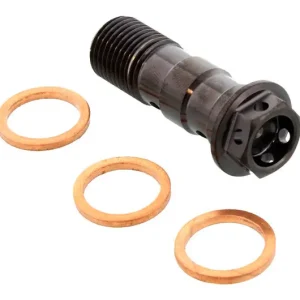 Akció Vis banjo double Pro Bolt M10x1.00 Titane Racing Noir