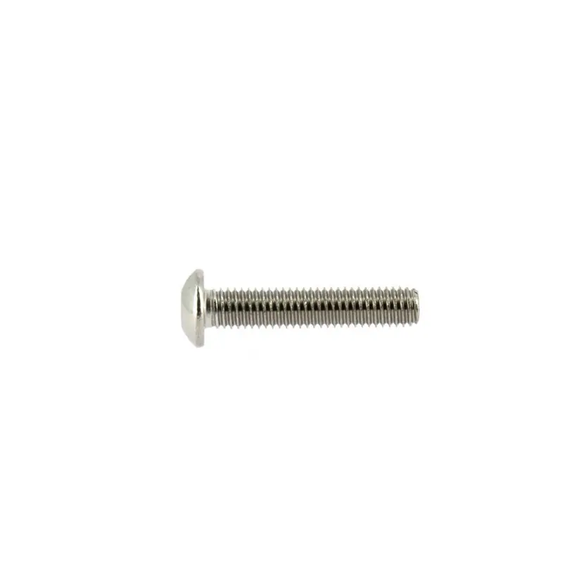 Vis M5*25 MM - Argent - 10 pcs Bestseller