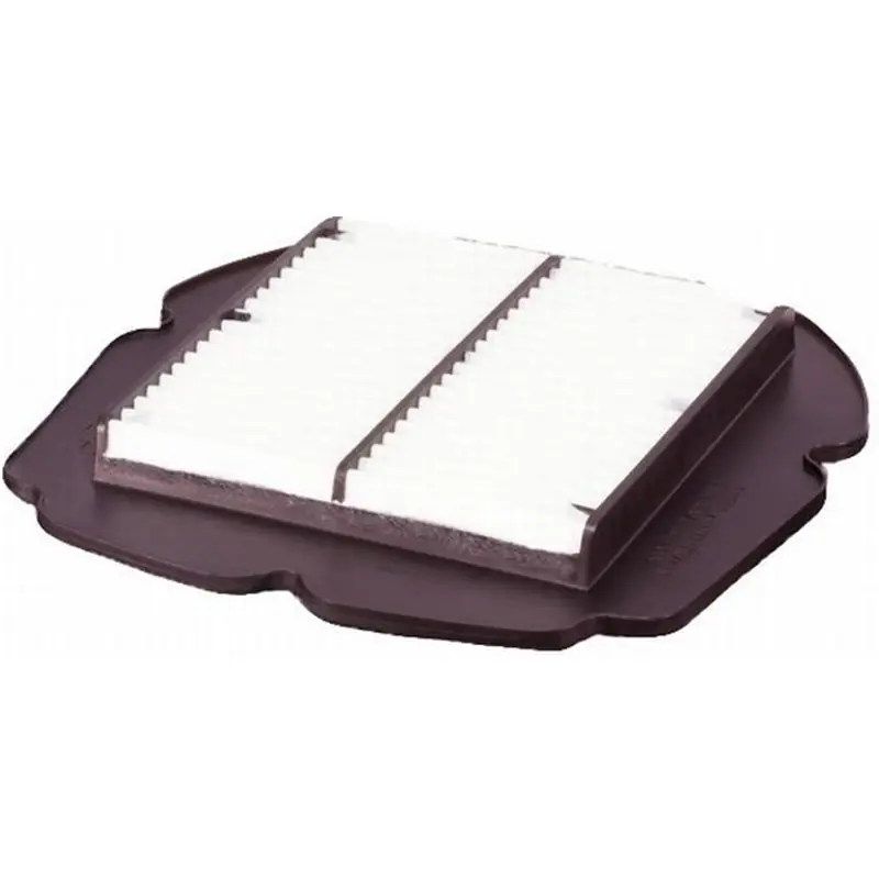 Gyors kiszállítás Filtre à Air Suzuki Gladius 650 - 2009-2014