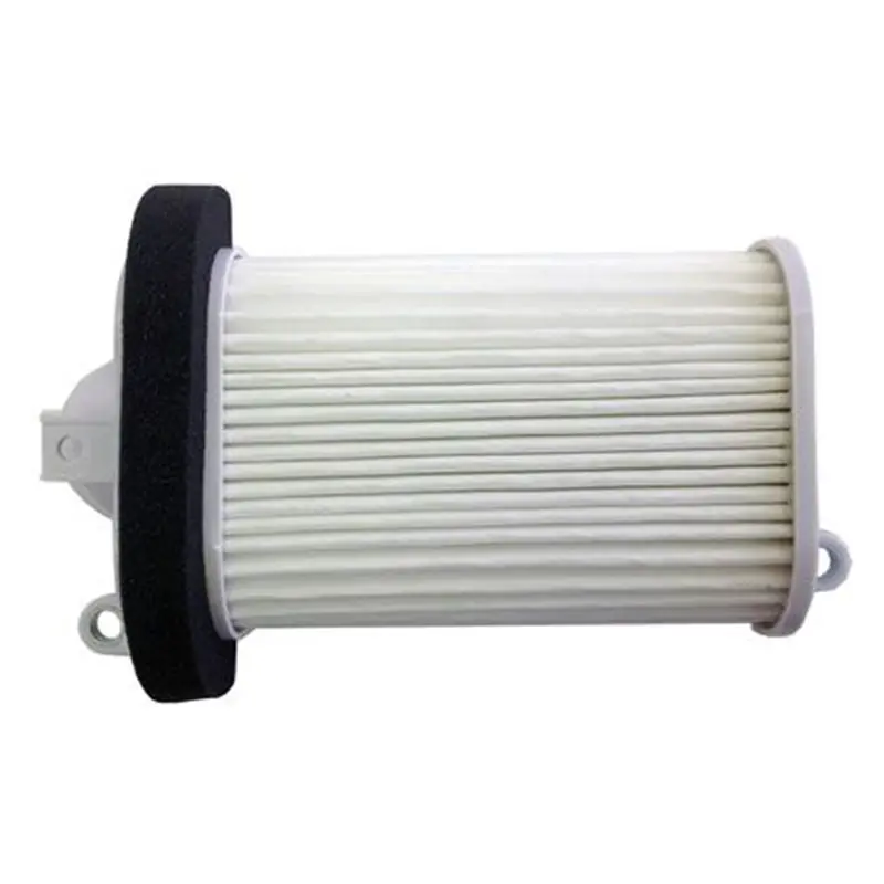 Expressz szállítás Filtre à air Type origine Yamaha T-Max - Côté gauche