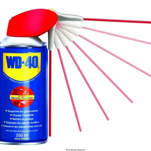 Ne maradj le WD-40 250ml Spray db posit *30 Double positions Support de vente offert par 30